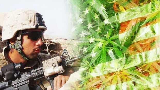 vets-mmj