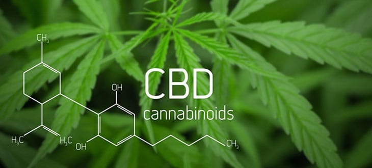 cbd