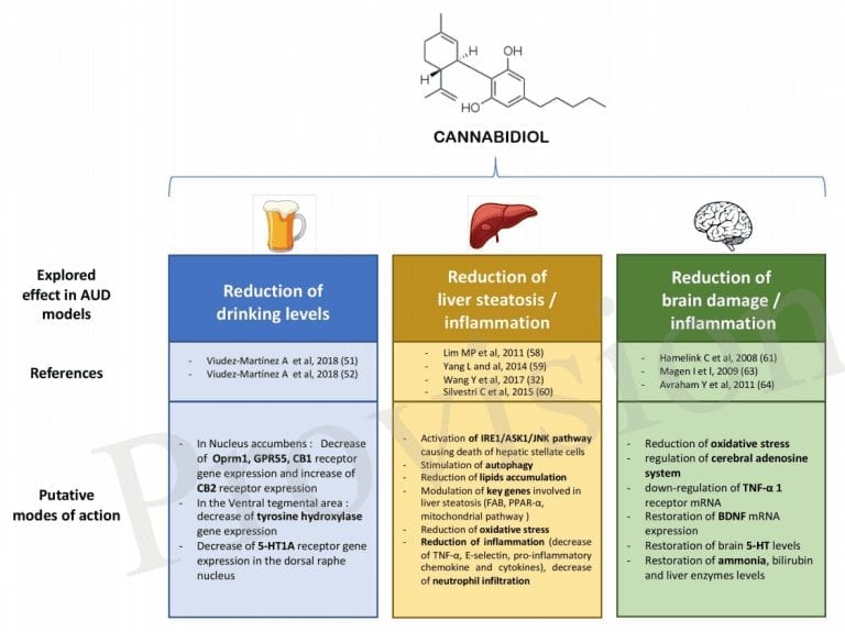 does cbd reduce alcohol