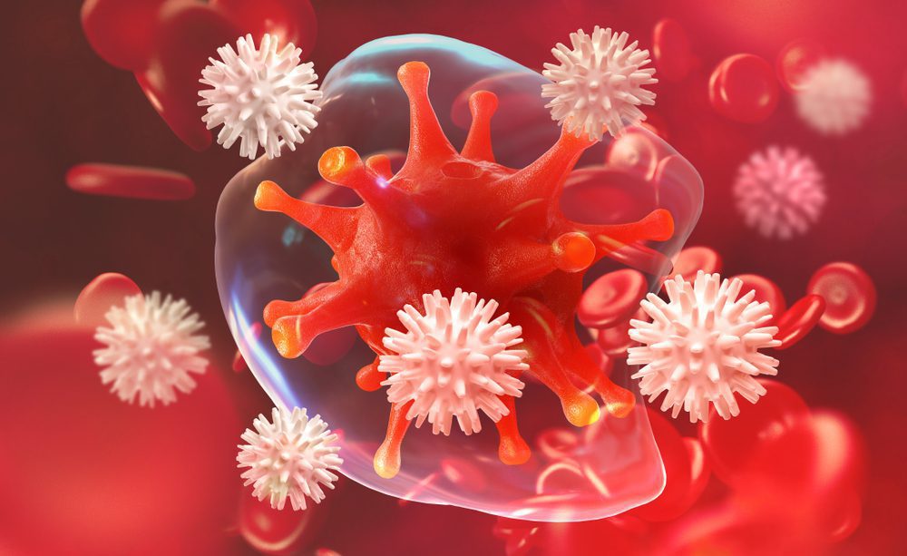 marijuana immune system