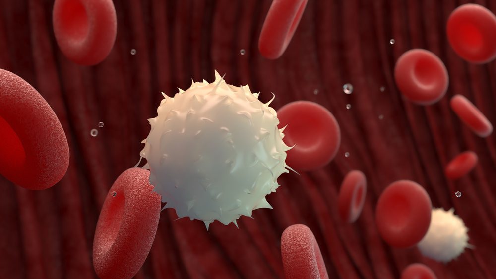 marijuana and immune system